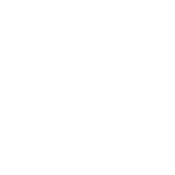 Window Warriors